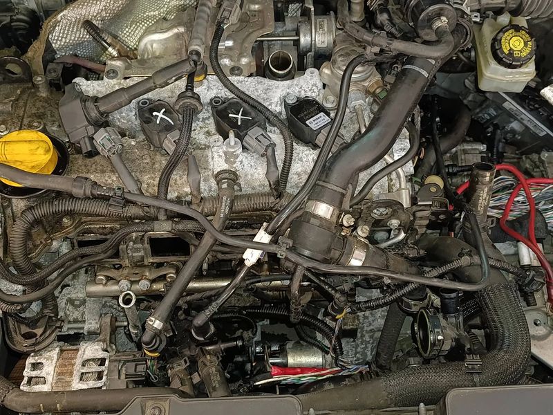 Compartiment moteur ouvert avec faisceau et calculateur accessibles pour une reprogrammation